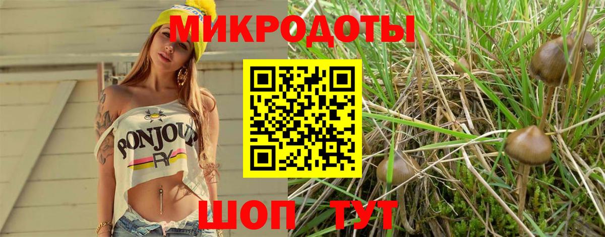 Галлюциногенные грибы мухоморы  Галлюциногенные грибы Magic Shrooms  Вход с VPN  Усть-Джегута 