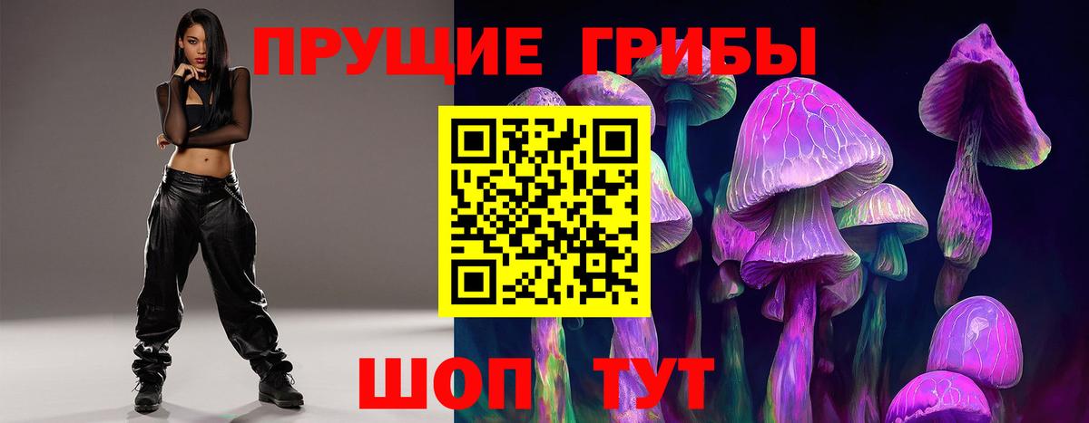 Галлюциногенные грибы Cubensis Усть-Джегута