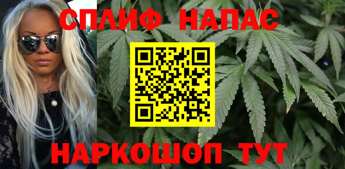 Бошки марихуана конопля Усть-Джегута